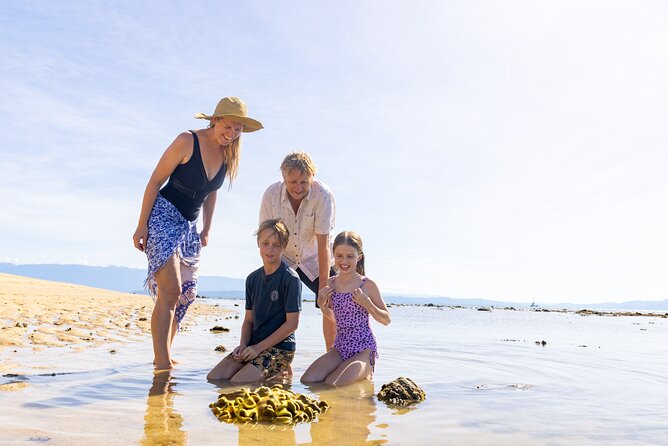 Wavedancer Low Isles Great Barrier Reef Sailing Cruise - Key points before you book Wavedancer Low Isles