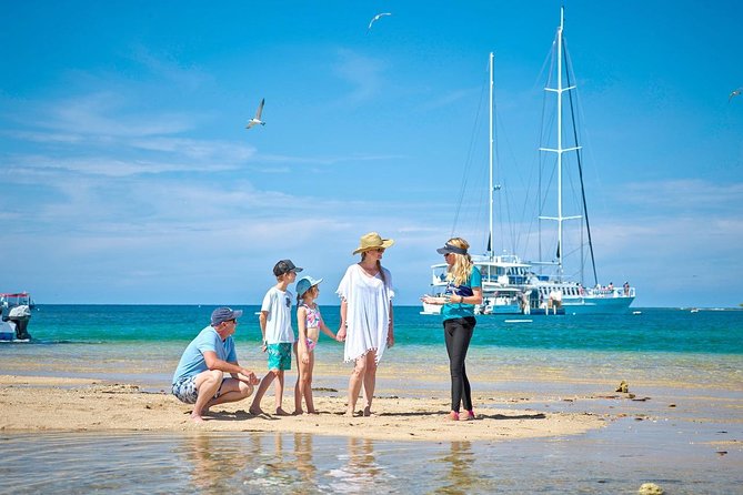 Wavedancer Low Isles Great Barrier Reef Sailing Cruise from Palm Cove - Key Highlights Worth Planning For