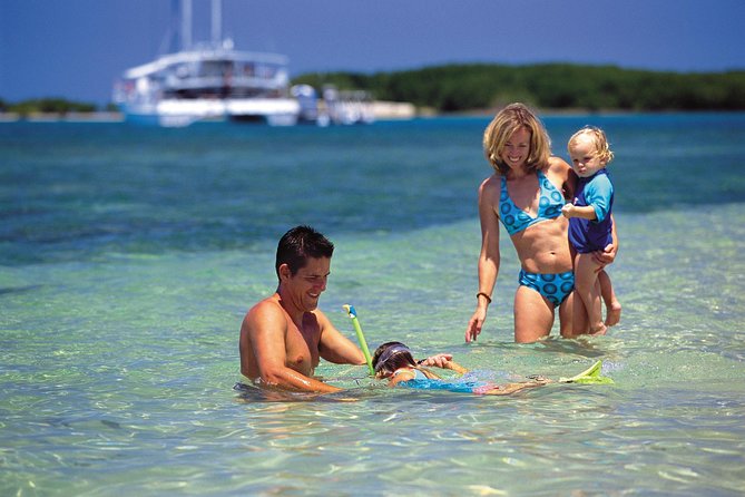 Wavedancer Low Isles Great Barrier Reef Sailing Cruise from Palm Cove - Beach Snorkeling With Instructors: The Comfort Factor You’ll Appreciate