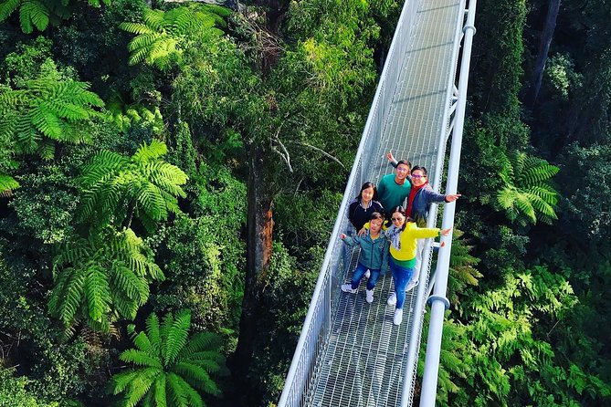 Waves Waterfalls and Wineries Full-Day Southern Highlands Private Tour - Price and value: €858 per group, up to 6