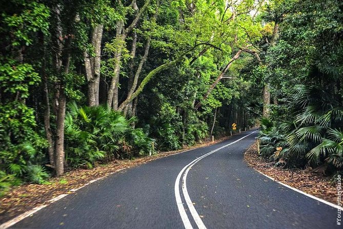 Waves Waterfalls and Wineries Full-Day Southern Highlands Private Tour - Illawarra Escarpment rainforest views and an optional animal refuge