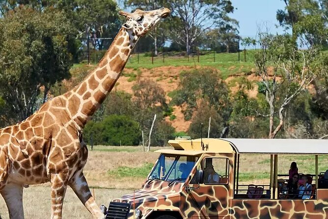Werribee Zoo & Werribee Mansion Tour - Key things to know before you go