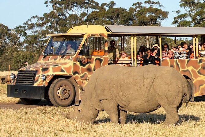 Werribee Zoo & Werribee Mansion Tour - The safari ride: spotting lions, zebras, and giraffes