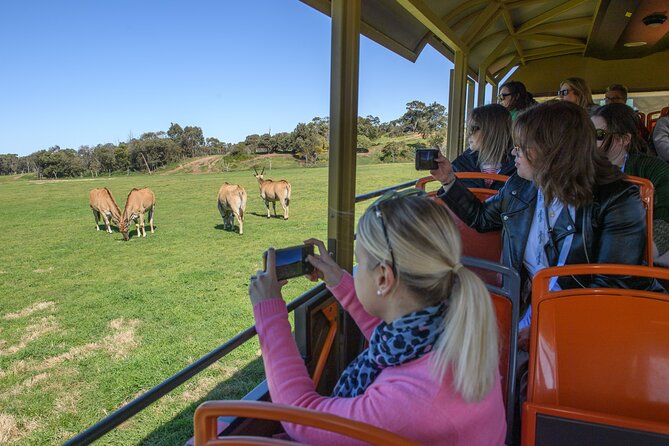 Werribee Zoo & Werribee Mansion Tour - Price and value: why $104 can work if you eat smart