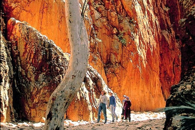 West MacDonnell Ranges Day Trip from Alice Springs - Why this West MacDonnell Ranges day trip feels easy from Alice Springs