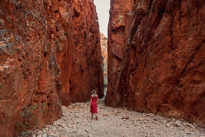 West MacDonnell Ranges Full Day Tour -Small Group - Mount Sonder Lookout and Ochre Pits: The Color and the 360°
