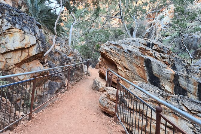 West MacDonnell Ranges Half day Tour -Small Group - Group size and logistics: pickup, ride comfort, and the real timing