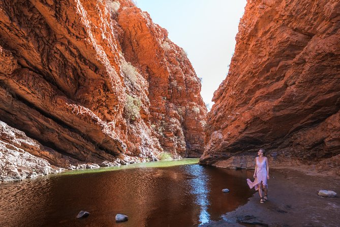 West MacDonnell Ranges- Half Day Trip from Alice Springs - Is the $91.81 price fair for what you actually do?