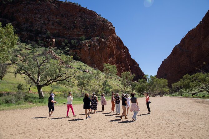 West MacDonnell Ranges & Standley Chasm Day Trip from Alice Springs - Price and Value: What $118.88 Gets You (and What to Budget Extra)