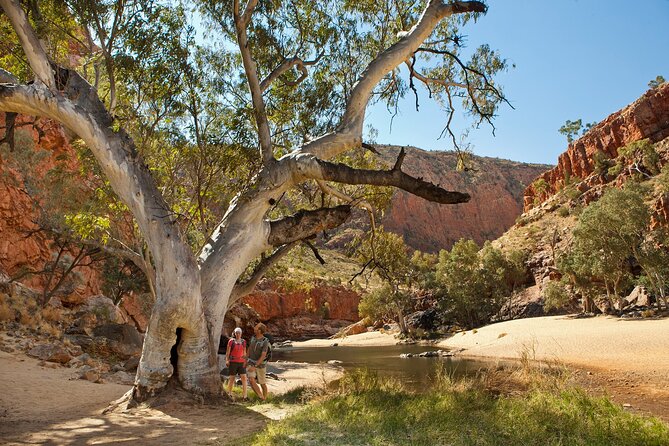 West MacDonnell Ranges & Standley Chasm Day Trip from Alice Springs - Standley Chasm (Angkerle Atwatye): The 80 m Gorge Moment and Why Timing Matters