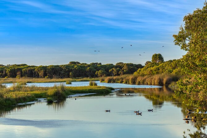 Western Australia’s Paradise: A Private Day Tour from Perth - Why this Perth-to-Pinnacles route is a smart private day