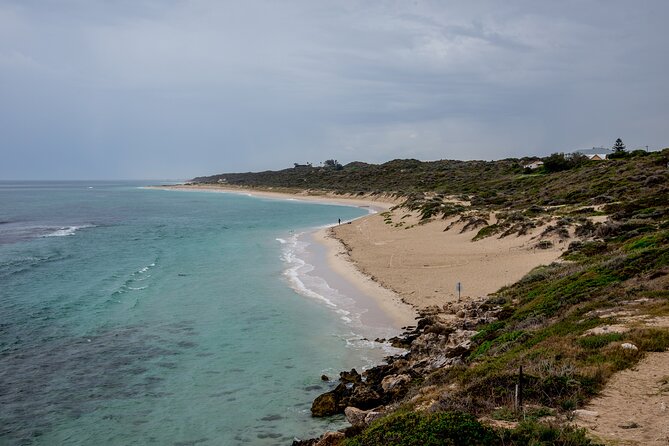Western Australia’s Paradise: A Private Day Tour from Perth - Yanchep National Park: forests, native wildlife, and an easy pace
