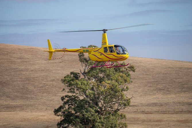 Western Ridge & Valley Floor: 20-Minute Helicopter Flight - Headset pilot commentary: how to get more out of the aerial views