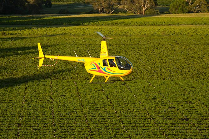 Western Ridge & Valley Floor: 20-Minute Helicopter Flight - What happens before you lift off: safety briefing and your pre-flight photo