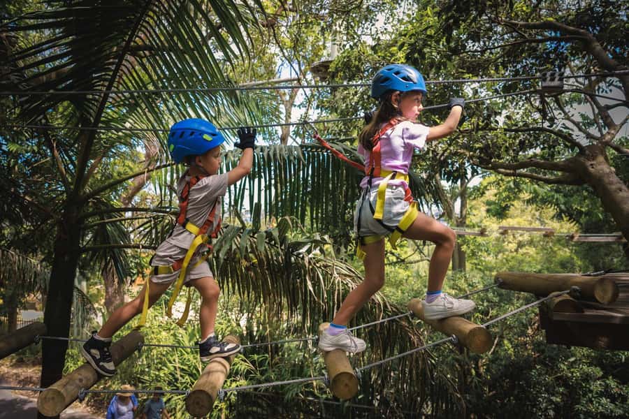 Western Sydney: Junior Tree Ropes Courses - Junior tree ropes at Western Sydney Parklands: who it’s for