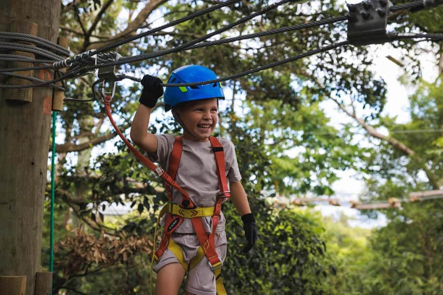 Western Sydney: Junior Tree Ropes Courses - What the 150 minutes feels like: check-in, briefing, and the course flow