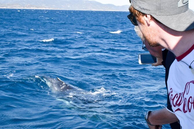 Whale Watching and Wildlife Cruise Townsville and Magnetic Island - Cape Cleveland Lighthouse: ocean views with a story in your ear