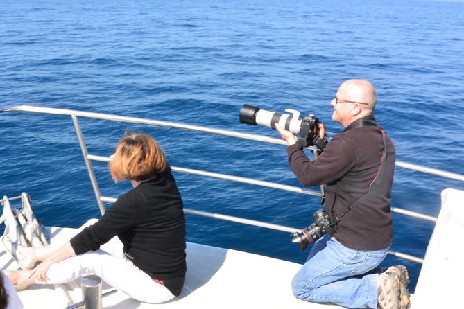 Whale Watching Cruise from Mooloolaba - Who This Whale Watching Cruise Suits Best