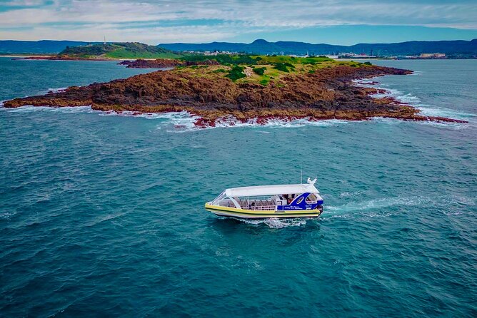 Whale Watching Cruise in New South Wales - How long is it, and why 1.5 hours is a smart choice