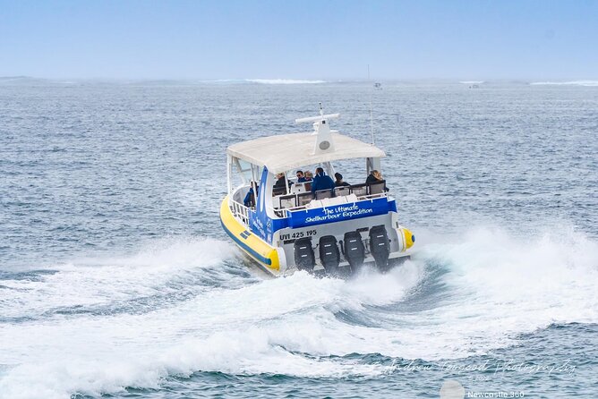 Whale Watching Cruise in New South Wales - Who this cruise suits best