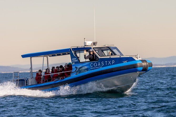 Whale Watching Discovery Tour from Lake Macquarie - The return cruise: Caves Beach and dramatic geology