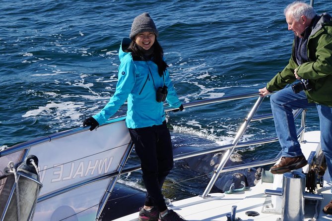 Whale Watching Dunsborough - Price and value: is $68.14 worth a 2-hour whale cruise?