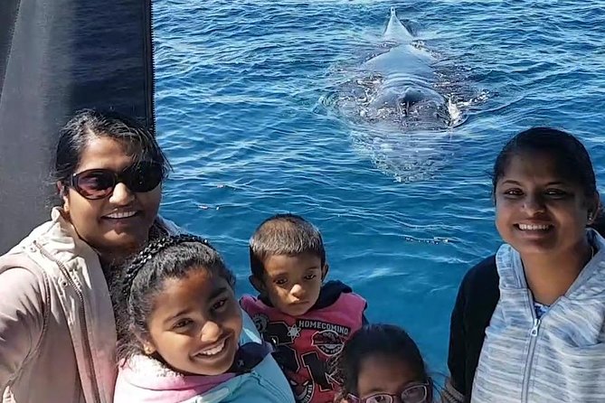 Whale Watching Dunsborough - Who this cruise suits best (and who should think twice)