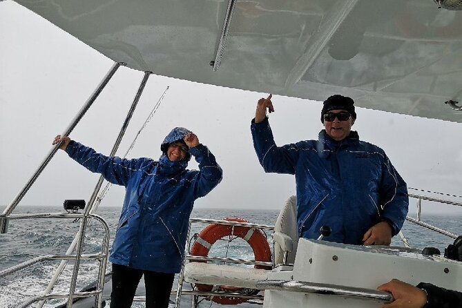 Whale Watching from Augusta in Western Australia - Should You Book This Tour?