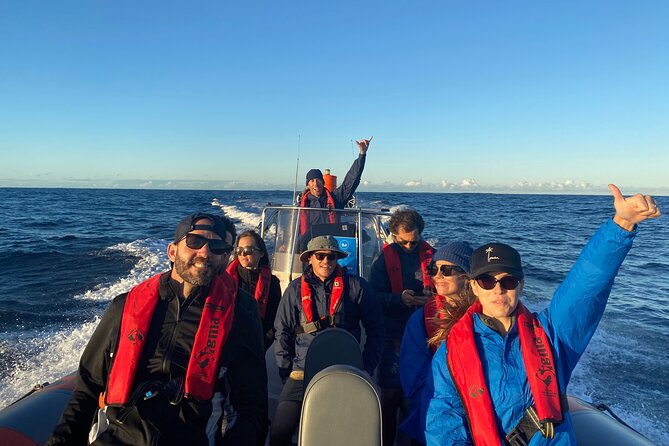 Whale Watching Gold Coast - Live naturalist commentary: turning sightings into learning
