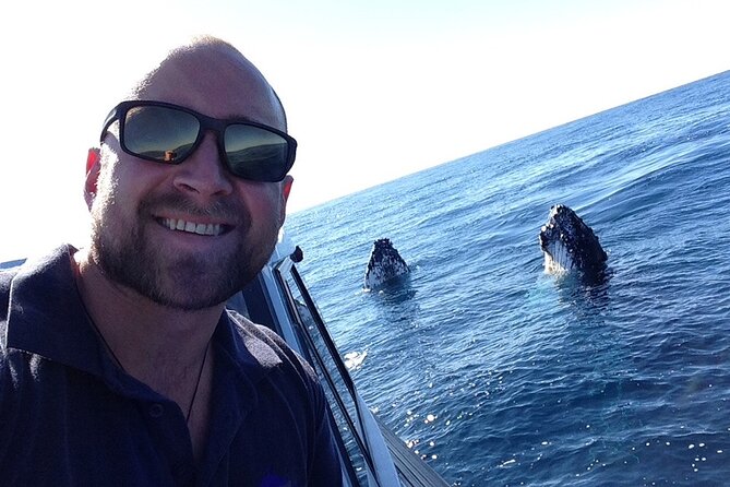 Whale Watching in Coffs Harbour - Best timing in Coffs Harbour: June through October humpback season