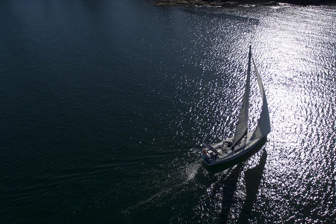 Whale Watching Sailing Experience in Sydney - Following Pods Like a Pro: What Captain Doug’s Team Tries to Do