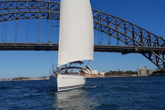 Whale Watching Sailing Experience in Sydney - Motion, Comfort, and Who Should Skip This Tour