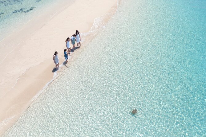 Whitehaven Beach and Hill Inlet Lookout Snorkeling Cruise - Guides, group size, and how the day stays organized