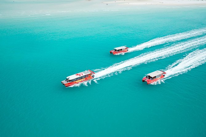 Whitehaven Beach and Hill Inlet Lookout Snorkeling Cruise - Should you book this Whitehaven and Hill Inlet snorkeling cruise?