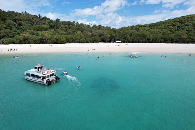Whitehaven Beach Club Transfers from Airlie Beach - Price and Value of the $114.04 Ticket