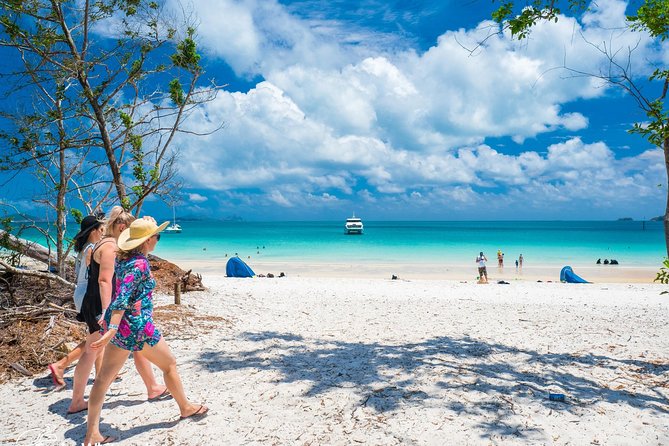 Whitehaven Beach Morning or Afternoon Tour - Getting to Whitehaven’s southern end: how the beach time is shaped