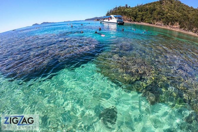 Whitehaven Beach Tour: 2 Options - All Day Beach Or Snorkel - The snorkeling add-on: Whitsunday Islands reefs, turtles, and calm conditions
