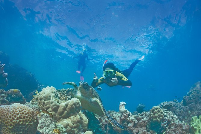 Whitsunday Islands Sail, SUP & Snorkel Tour- Small group - A 60ft Air-Conditioned Catamaran That Feels Like Real Yacht Time