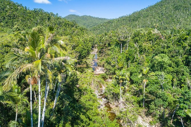Whitsunday Segway Rainforest Discovery Tour - Key things to know before you go