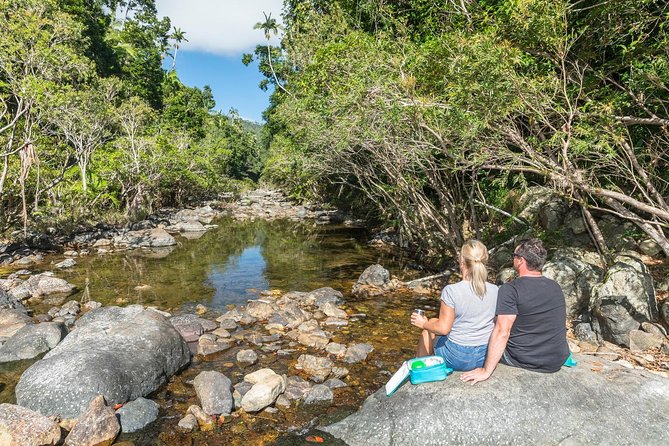 Whitsunday Segway Rainforest Discovery Tour - Price and value: what $107.59 buys you