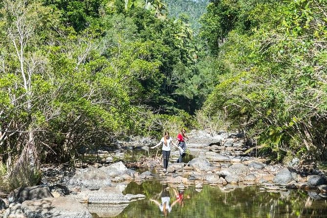 Whitsunday Segway Rainforest Discovery Tour - Should you book the Whitsunday Segway Rainforest Discovery Tour?