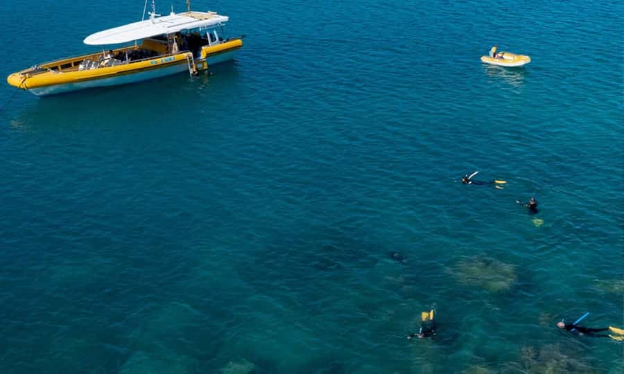 Whitsunday: Whitsunday Islands Tour with Snorkeling & Lunch - Should You Book This Whitsundays Speedboat Day Trip?