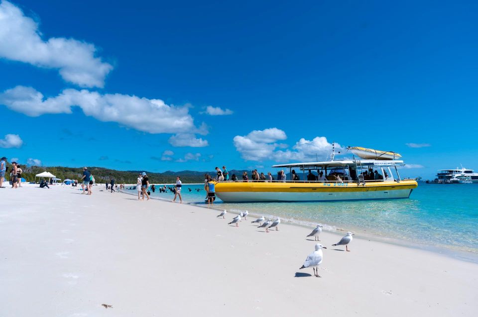 Whitsunday: Whitsunday Islands Tour with Snorkeling & Lunch - Hill Inlet Lookout: Getting the Best Views of the Shifting Sands