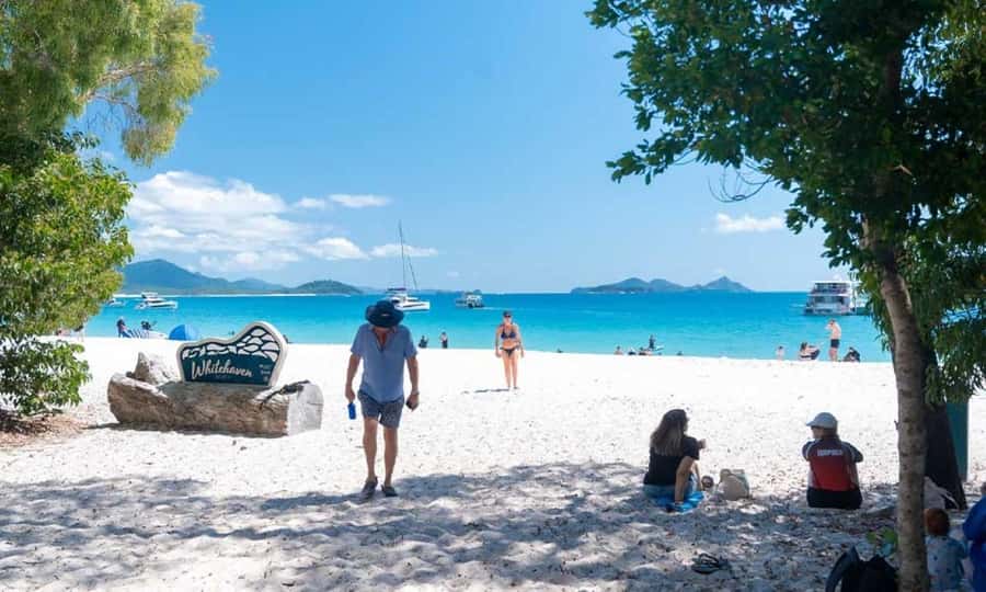 Whitsunday: Whitsunday Islands Tour with Snorkeling & Lunch - Whale Spotting Chances July to September