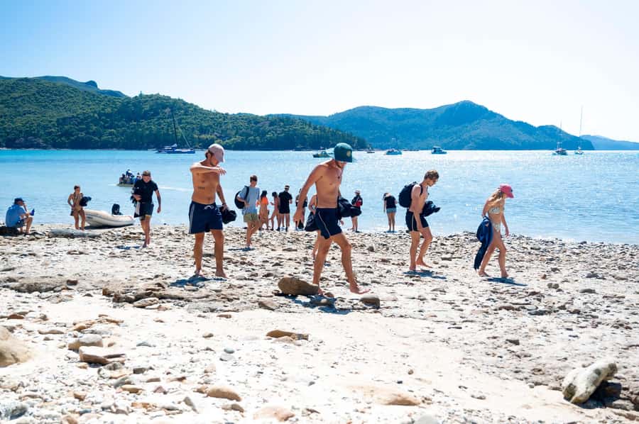 Whitsundays: 2 days 1 night Sailing, Snorkeling, Whitehaven - Day 1 Sunset Sailing: Meals, BBQ Energy, and Deck Time