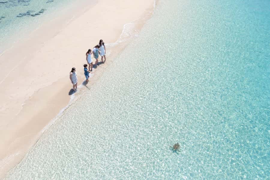 Whitsundays Sailing & Snorkelling Day Tour – All Inclusive - Food and drinks: what’s included, what to bring, and what to avoid
