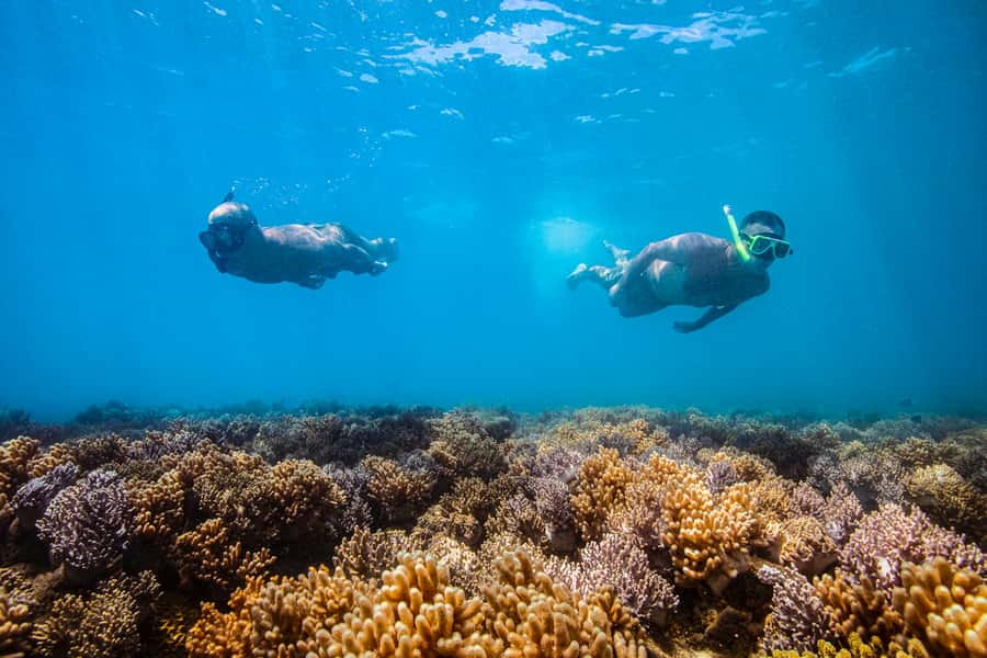 Whitsundays Sailing & Snorkelling Day Tour – All Inclusive - Sailing back to Airlie Beach: the sunset sail moment