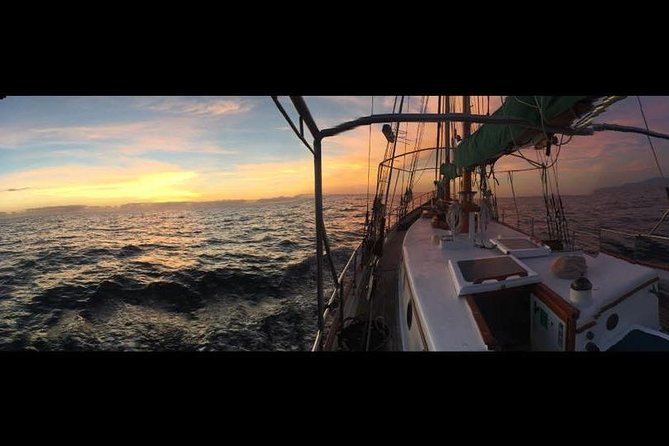 Whitsundays Sunset Sailing Cruise - Snacks, Sparkling Wine, and the Real-World Food Setup