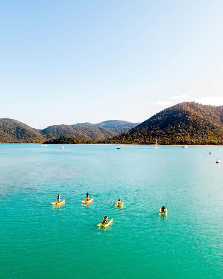 Whitsundays: Water Bike Eco-Tour with Guide - Shute Harbour coastline time: moored vessels, coral gardens, and wildlife watching