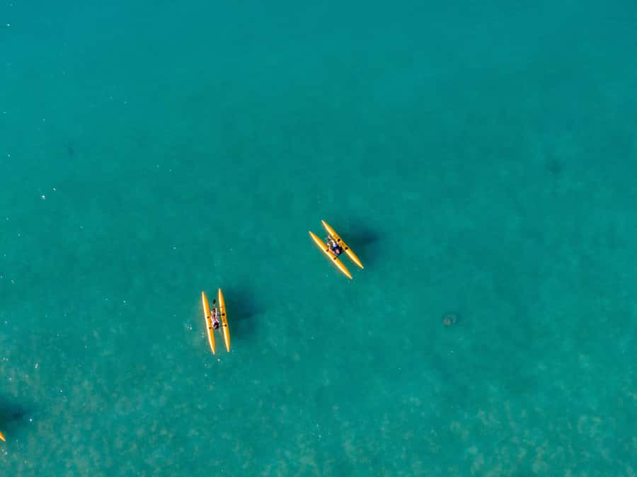 Whitsundays: Water Bike Eco-Tour with Guide - Price and value: $63 for a guided, reef-focused water bike ride